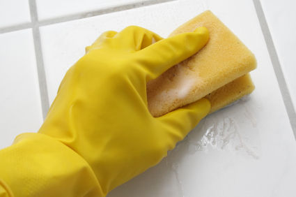 Basic Kitchen Cleaning Supplies You need