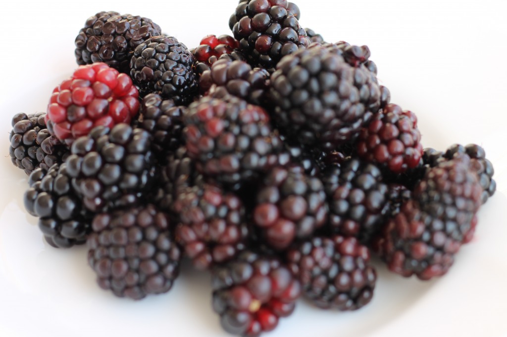 blackberries