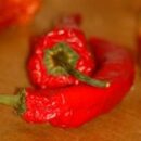 Top 5 Money Saving Food Ideas