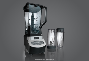 ninja professional blender
