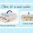 Bakers Sto ‘N Go – Store Baked and Other Foods to Look Fresh and Beautiful for a Long, Long Time