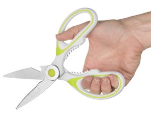 kitchen shears